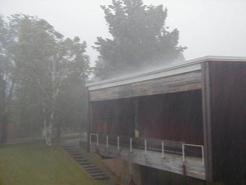 rain