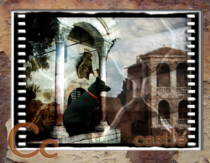 C castle full of dogs