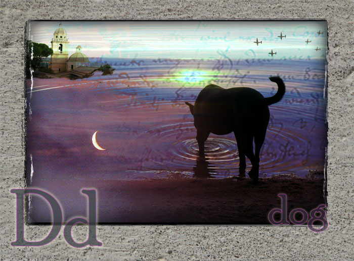 D: dog in the evening