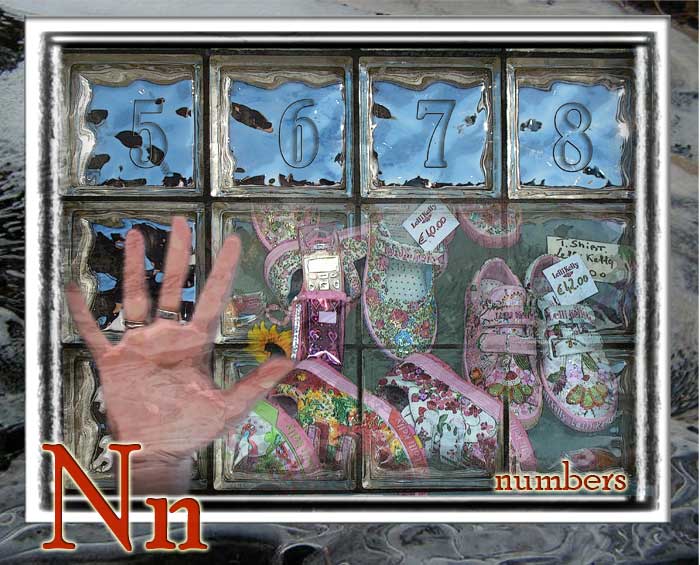 N: Number of objects